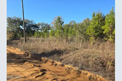 Tbd Lot 3 Peanut Road, Cottondale, FL 32431 - Photo 10