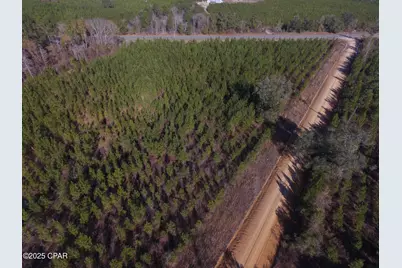 Tbd Lot 3 Peanut Road, Cottondale, FL 32431 - Photo 16