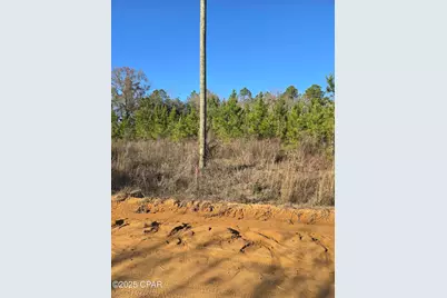 Tbd Lot 4 Peanut Road, Cottondale, FL 32431 - Photo 6