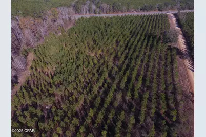 Tbd Lot 4 Peanut Road, Cottondale, FL 32431 - Photo 16