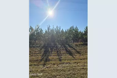 Tbd Lot 4 Peanut Road, Cottondale, FL 32431 - Photo 2