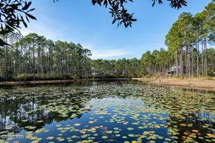 6619 Button Buck Trail, Panama City Beach, FL 32413 - Photo 62