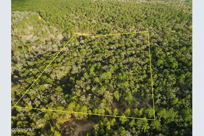 000 Creek Run Road, Vernon, FL 32462 - Photo 1