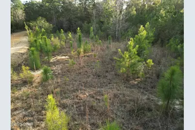 000 Creek Run Road, Vernon, FL 32462 - Photo 6