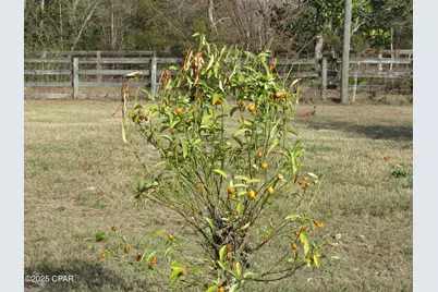 7835 Olde Mill Road, Southport, FL 32409 - Photo 14