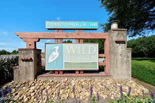 1503 Tin Cup Ct, Panama City Beach, FL 32413 - Photo 40