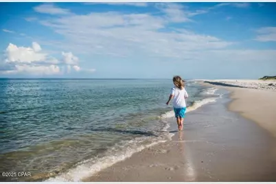 373 Rhonda Del Sol Circle, Cape San Blas, FL 32456 - Photo 58