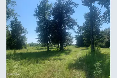 000 Missy Lane, Clarksville, FL 32430 - Photo 16