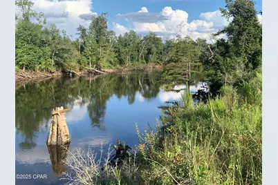 000 Missy Lane, Clarksville, FL 32430 - Photo 4