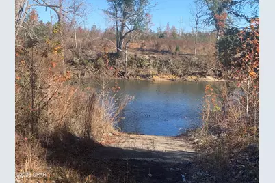 000 Missy Lane, Clarksville, FL 32430 - Photo 2