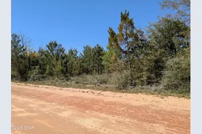 0 Joy, Marianna, FL 32448 - Photo 1