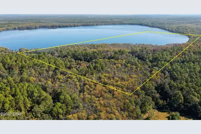 3199 Pate Pond Road, Vernon, FL 32462 - Photo 2