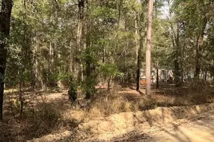 5270 Choctaw Rd, Vernon, FL 32462 - Photo 24