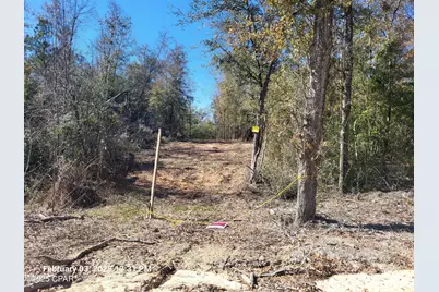 Lot 8 NW Womble Road, Altha, FL 32421 - Photo 1