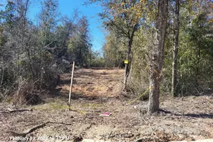 Lot 8 NW Womble Rd, Altha, FL 32421 - Photo 1