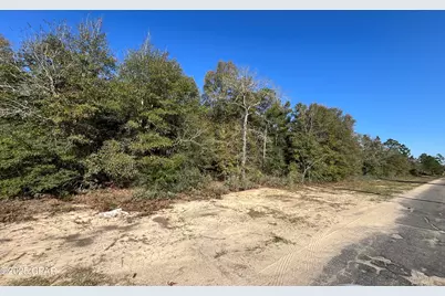 Lot 5 Viking Drive, Chipley, FL 32428 - Photo 1