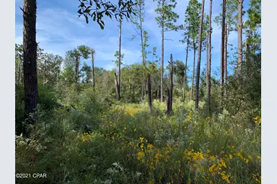 0 Drury Lane, Alford, FL 32420 - Photo 6