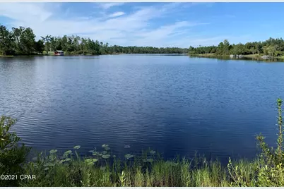 0 Drury Lane, Alford, FL 32420 - Photo 10