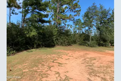 0 Drury Lane, Alford, FL 32420 - Photo 8