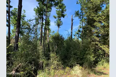 0 Drury Lane, Alford, FL 32420 - Photo 4