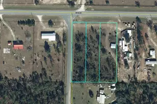 00 NW County Rd 274, Altha, FL 32421 - Photo 18
