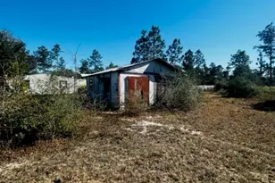 00 NW County Rd 274, Altha, FL 32421 - Photo 12