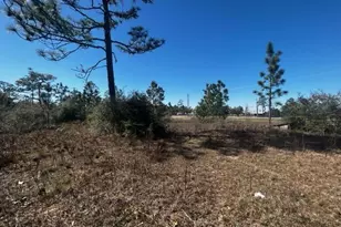 00 NW County Rd 274, Altha, FL 32421 - Photo 14