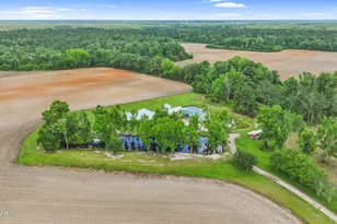 4180 Hwy 273, Graceville, FL 32440 - Photo 54