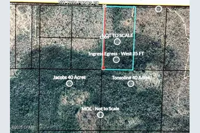 0 NW Camp Head Road, Altha, FL 32421 - Photo 2