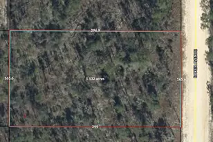 00 Baker Ave, Alford, FL 32420 - Photo 1