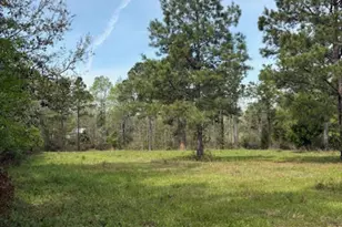 5495 Hwy 90, Marianna, FL 32446 - Photo 78