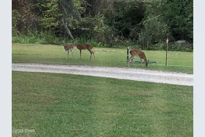 7031 Hamilton Road, Grand Ridge, FL 32442 - Photo 26