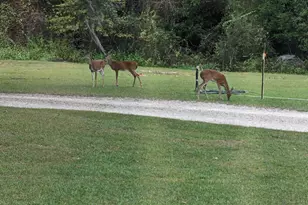 7031 Hamilton Rd, Grand Ridge, FL 32442 - Photo 26