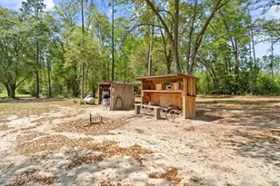 2242 Hwy 231, Cottondale, FL 32431 - Photo 14