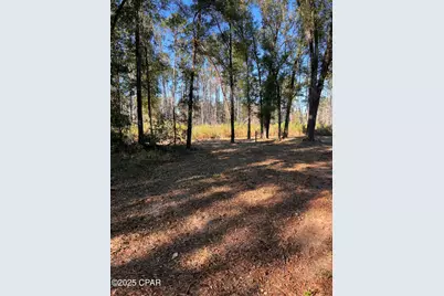 2839 Highway 79, Vernon, FL 32462 - Photo 10