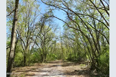 2839 Highway 79, Vernon, FL 32462 - Photo 4