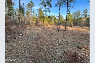 2839 Highway 79, Vernon, FL 32462 - Photo 16