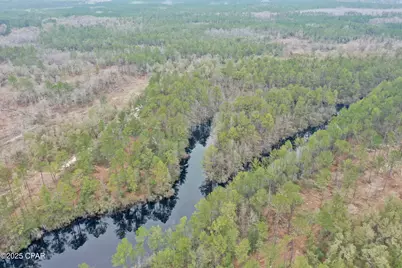 2839 Highway 79, Vernon, FL 32462 - Photo 22