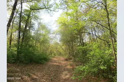 2711 Stallings Road, Chipley, FL 32428 - Photo 2