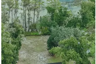 3034 Paradise Lakes Rd, Chipley, FL 32428 - Photo 44