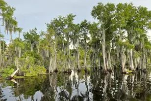 4403 Bluewater Dr, Panama City, FL 32404 - Photo 78