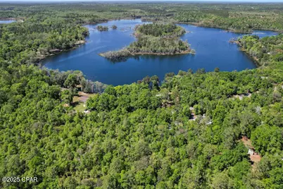 0000 Paradise Lakes Road, Chipley, FL 32428 - Photo 4