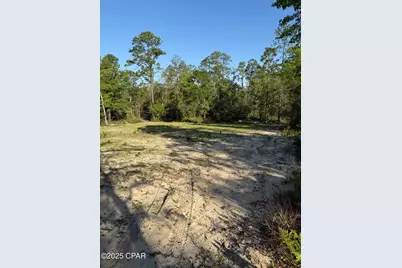 516 Goshun Creek Road, Chipley, FL 32428 - Photo 16