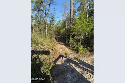 516 Goshun Creek Road, Chipley, FL 32428 - Photo 10