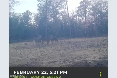 516 Goshun Creek Road, Chipley, FL 32428 - Photo 2