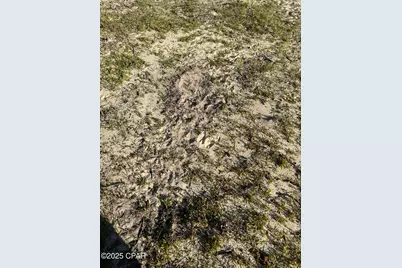 516 Goshun Creek Road, Chipley, FL 32428 - Photo 20