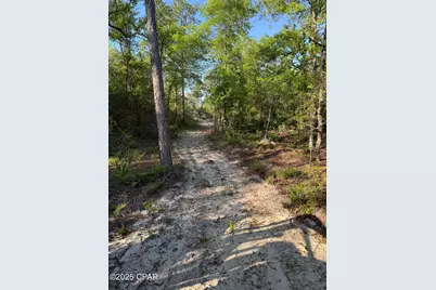 516 Goshun Creek Road, Chipley, FL 32428 - Photo 6
