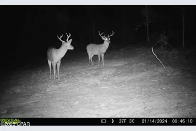 516 Goshun Creek Road, Chipley, FL 32428 - Photo 4