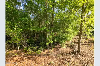 Tbd Nearing Hills Circle, Chipley, FL 32428 - Photo 12