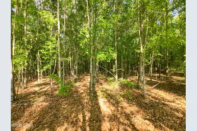 Tbd Nearing Hills Circle, Chipley, FL 32428 - Photo 10